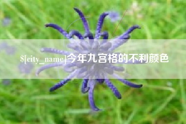 淮北今年九宫格的不利颜色