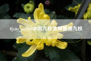 淮北中国九枚金牌是哪九枚