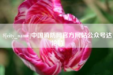 淮北中国消防网官方网站公众号达伦特