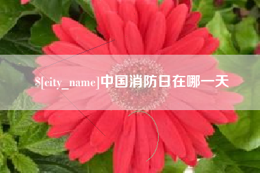 淮北中国消防日在哪一天