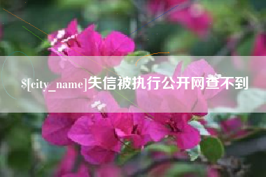 淮北失信被执行公开网查不到