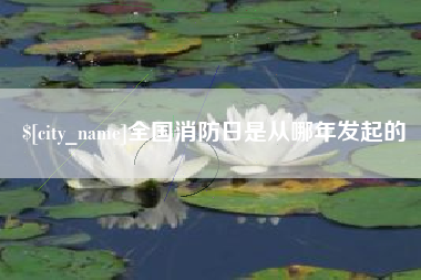 淮北全国消防日是从哪年发起的