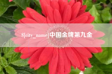淮北中国金牌第九金