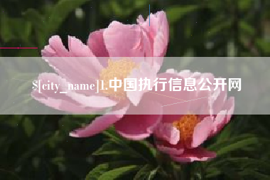 淮北1.中国执行信息公开网