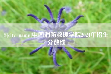 淮北中国消防救援学院2024年招生分数线