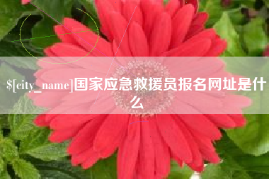 淮北国家应急救援员报名网址是什么