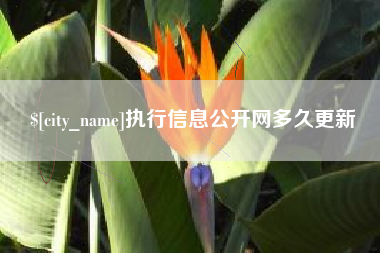 淮北执行信息公开网多久更新