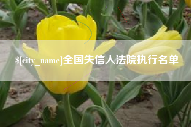 淮北全国失信人法院执行名单