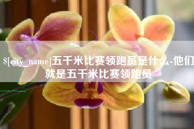 淮北五千米比赛领跑员是什么-他们就是五千米比赛领跑员