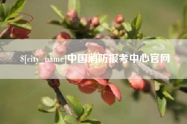 淮北中国消防报考中心官网