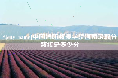 淮北中国消防救援学院河南录取分数线是多少分