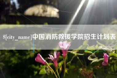 淮北中国消防救援学院招生计划表