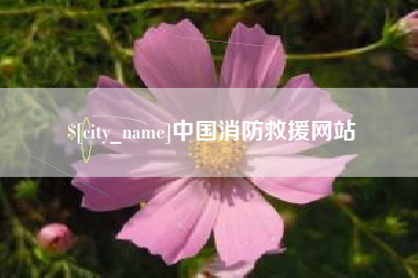 淮北中国消防救援网站