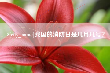 淮北我国的消防日是几月几号？