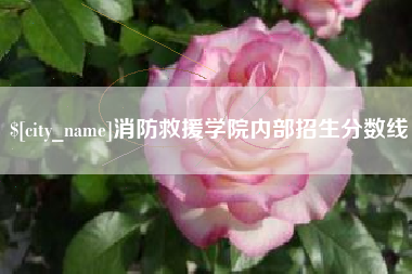 淮北消防救援学院内部招生分数线
