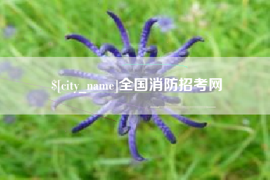 淮北全国消防招考网