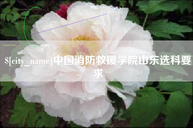淮北中国消防救援学院山东选科要求