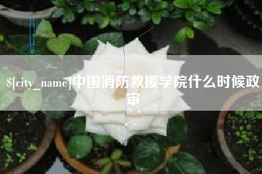 淮北中国消防救援学院什么时候政审