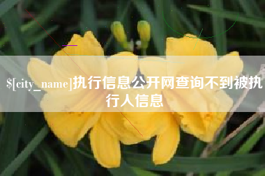 淮北执行信息公开网查询不到被执行人信息