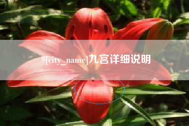 淮北九宫详细说明