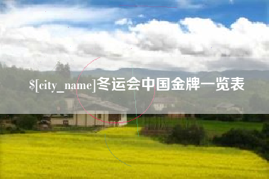 淮北冬运会中国金牌一览表