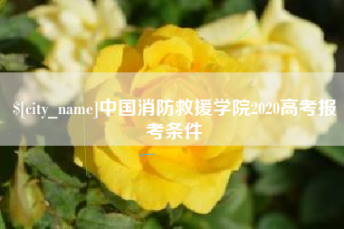 淮北中国消防救援学院2020高考报考条件