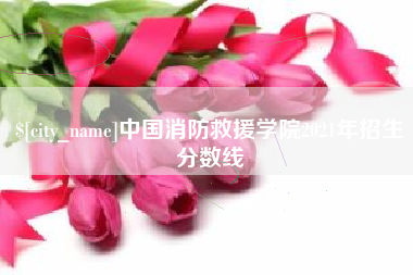 淮北中国消防救援学院2021年招生分数线