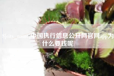 淮北中国执行信息公开网官网app为什么要钱呢