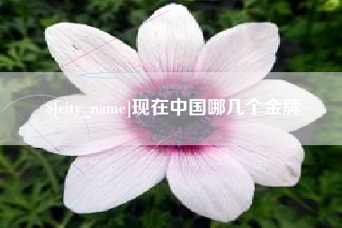 淮北现在中国哪几个金牌