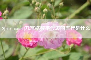 淮北九宫格数字代表的五行是什么