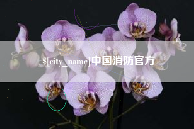 淮北中国消防官方