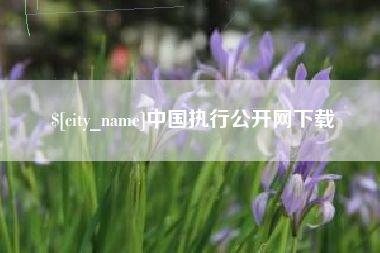 淮北中国执行公开网下载