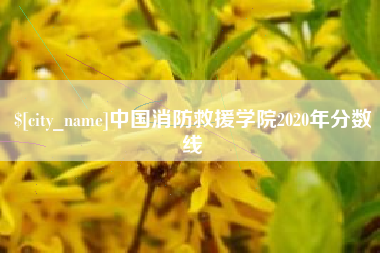 淮北中国消防救援学院2020年分数线