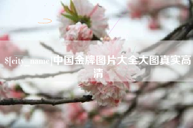 淮北中国金牌图片大全大图真实高清