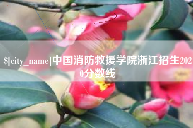 淮北中国消防救援学院浙江招生2020分数线