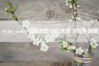 淮北中国消防学院救援学院分数线