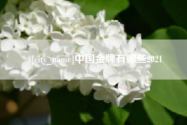 淮北中国金牌有哪些2021