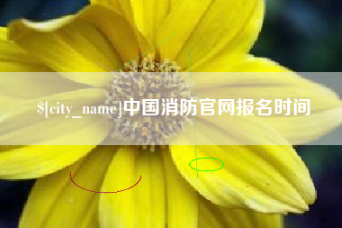 淮北中国消防官网报名时间