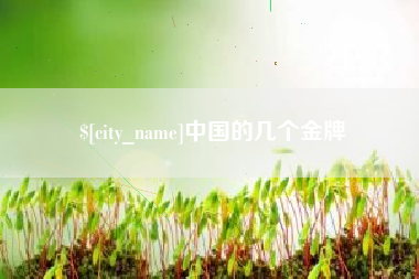 淮北中国的几个金牌