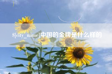 淮北中国的金牌是什么样的