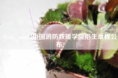 淮北中国消防救援学院招生章程公布!