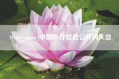 淮北中国执行信息公开网失信