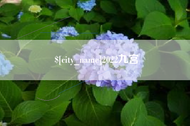 淮北2022九宫