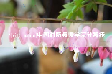 淮北中国消防救援学院分数线