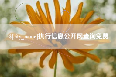 淮北执行信息公开网查询免费