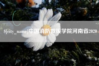 淮北中国消防救援学院河南省2020